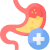 Digestive